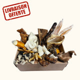 Boxe mastication chiot/petit chien