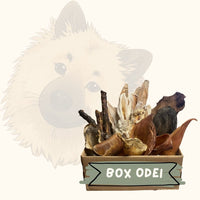 Box ODEI