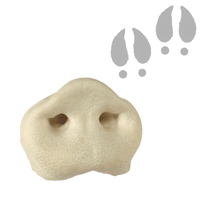 Groin de Porc soufflé