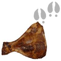Omoplate de Porc