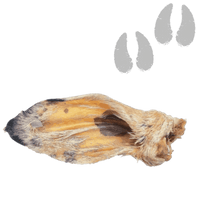 Oreille agneau avec poils