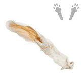 Oreille de Lapin avec poils
