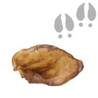 Oreille de Porc