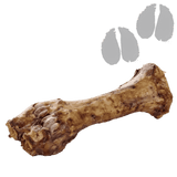 Os de pied de bœuf