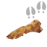 Pied de Porc