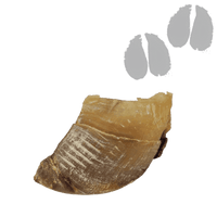 Sabot de Bœuf